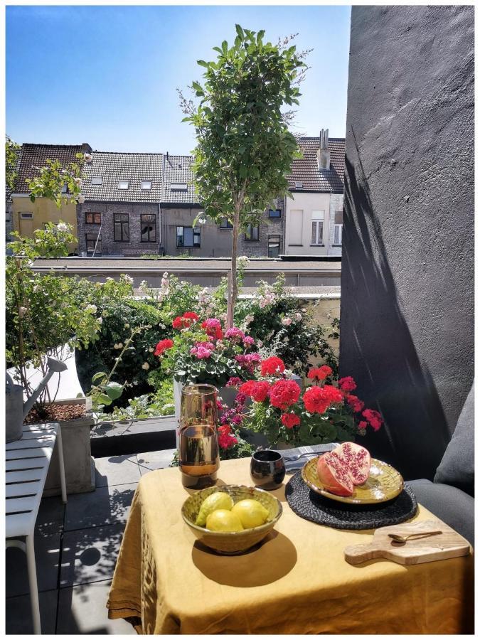 Studio Spiegelhof 根特 外观 照片