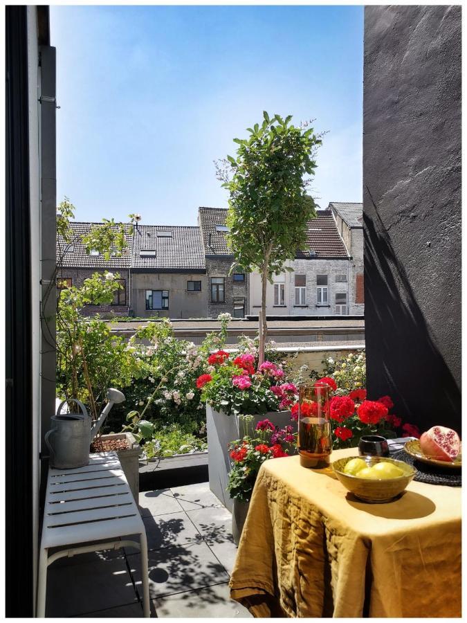 Studio Spiegelhof 根特 外观 照片